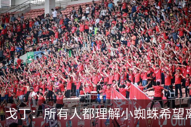 戈丁：所有人都理解小蜘蛛希望离队的想法，但他的处理方式做错了